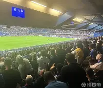  霍芬海姆vs门兴格拉德巴赫 